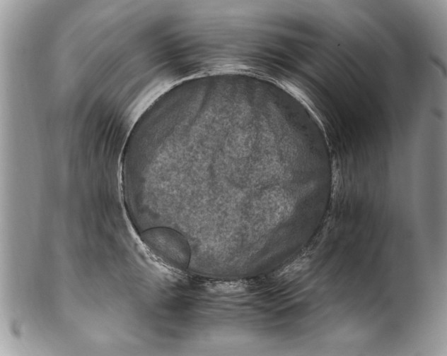 X0000100421047200806201818