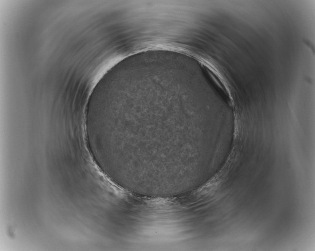 X0000100421048200806201818