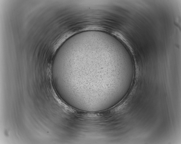 X0000100421049200806201818