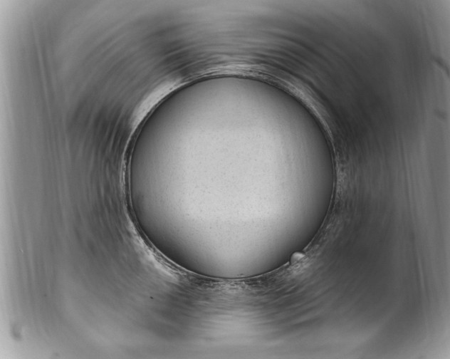 X0000100421050200806201818