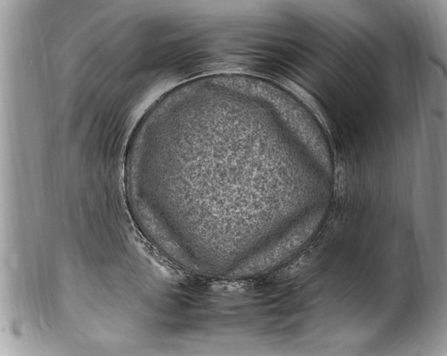 X0000100421051200806201818