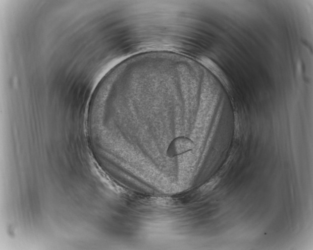 X0000100421052200806201818