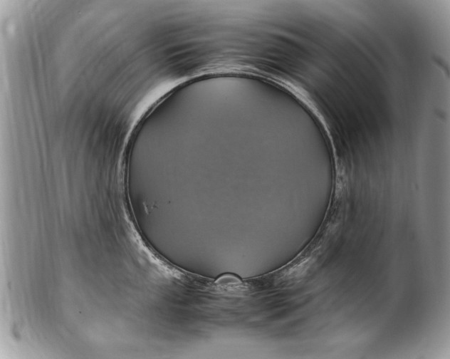 X0000100421053200806201818