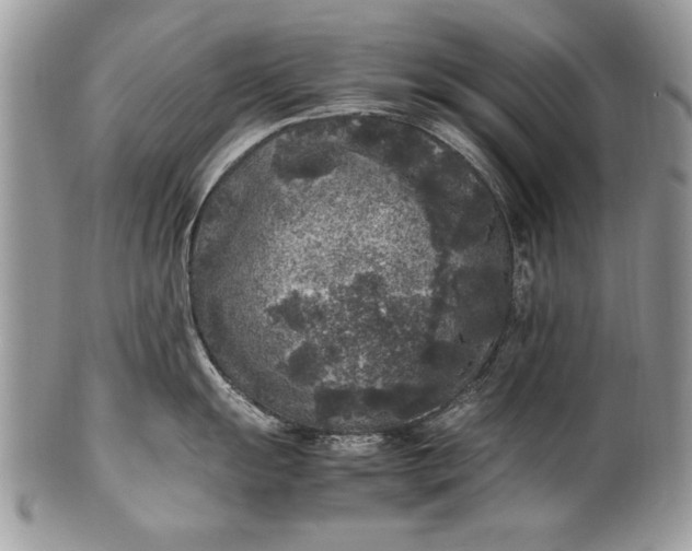X0000100421055200806201818
