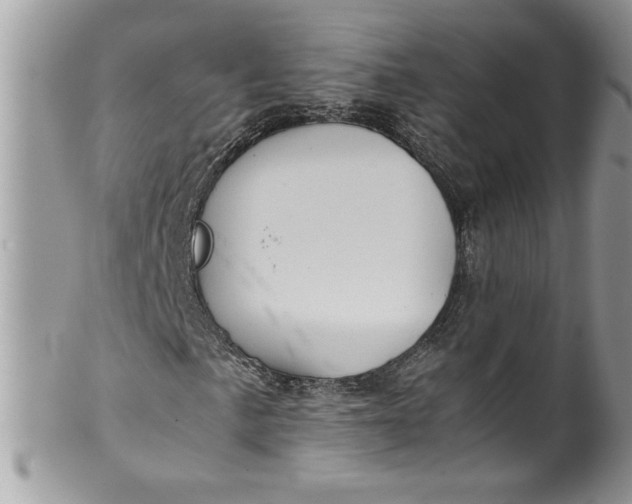 X0000100421057200806201817