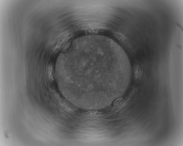 X0000100421060200806201817
