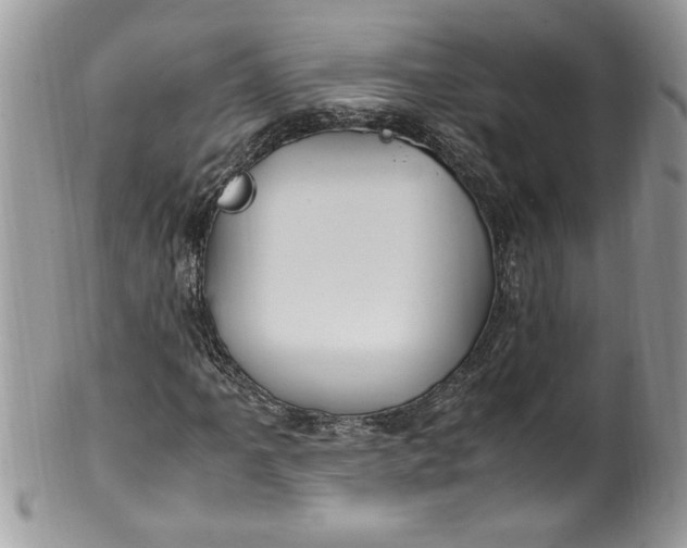 X0000100421061200806201817