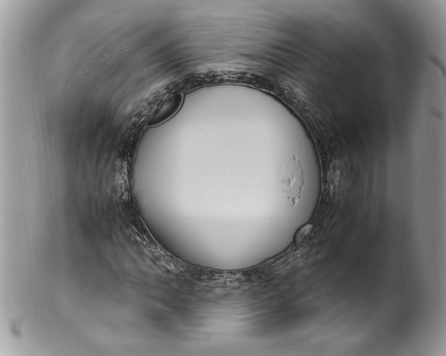 X0000100421062200806201817