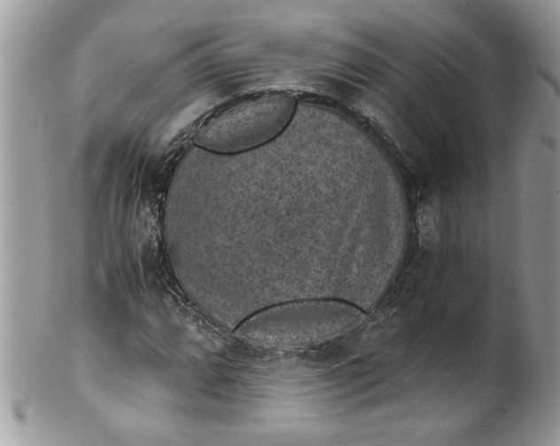 X0000100421064200806201817