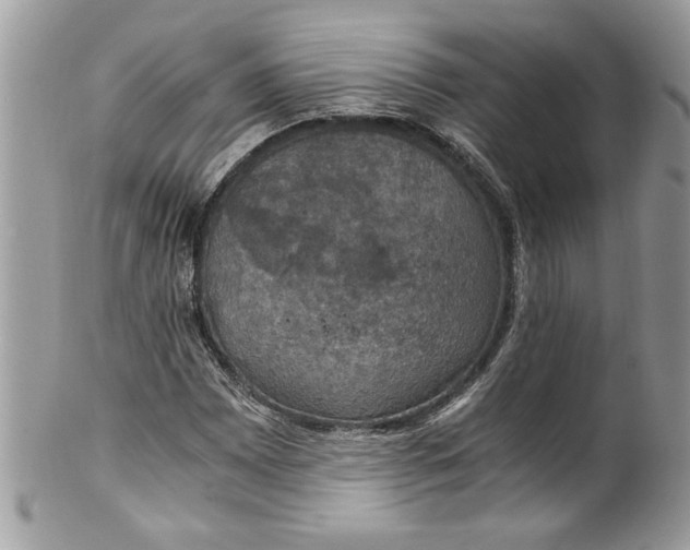 X0000100421065200806201817