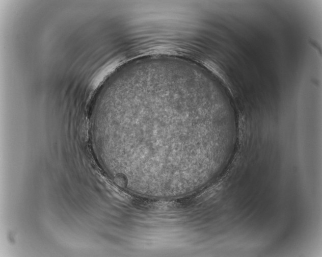 X0000100421067200806201817