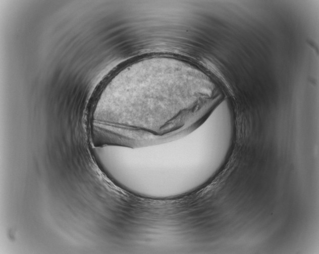 X0000100421068200806201817