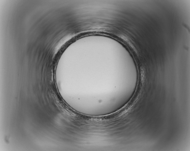 X0000100421069200806201817