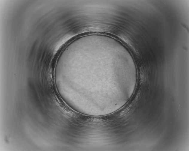 X0000100421070200806201817