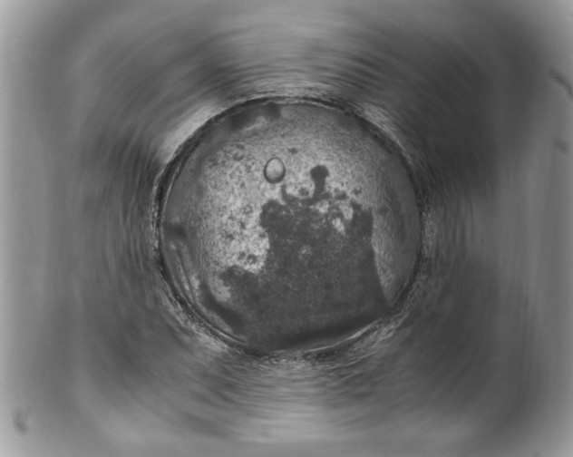 X0000100421071200806201817