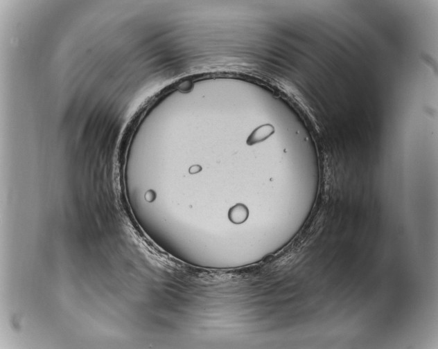 X0000100421072200806201817