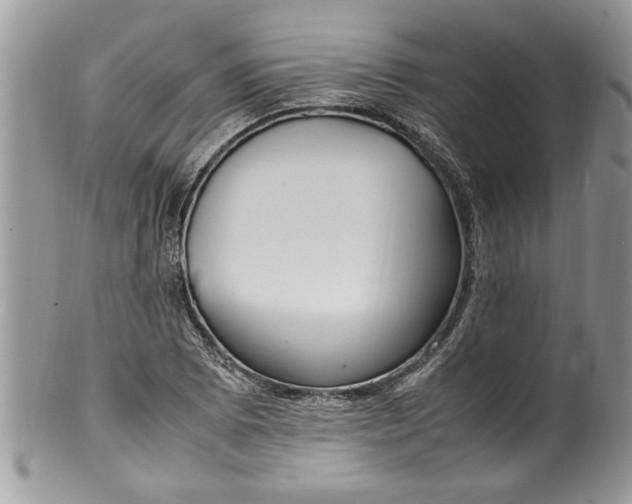 X0000100421073200806201817
