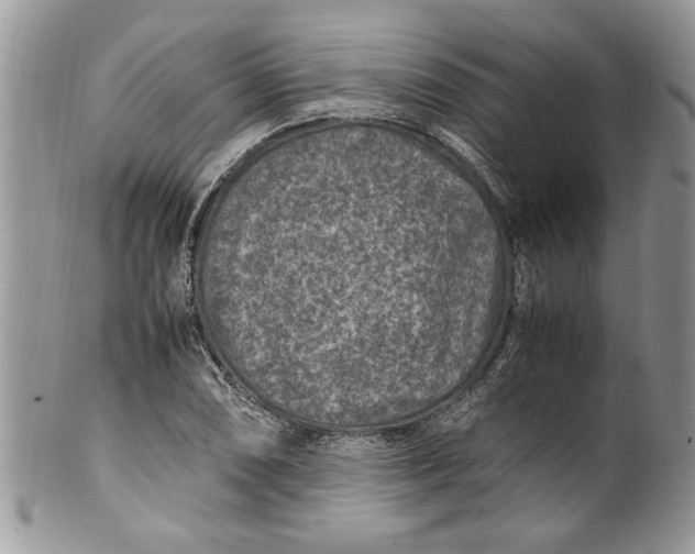 X0000100421074200806201817