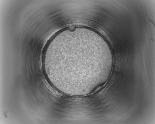 X0000100421076200806201817