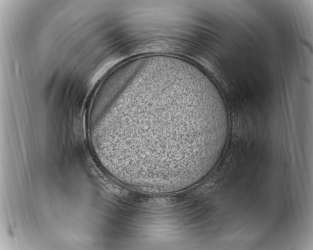 X0000100421078200806201817