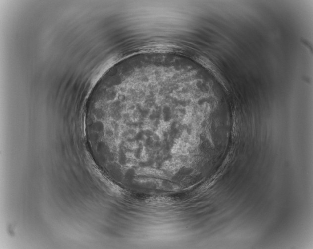 X0000100421083200806201817