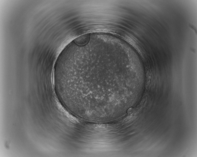 X0000100421084200806201817