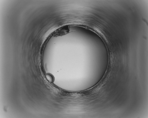 X0000100421085200806201817
