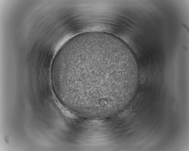 X0000100421086200806201817