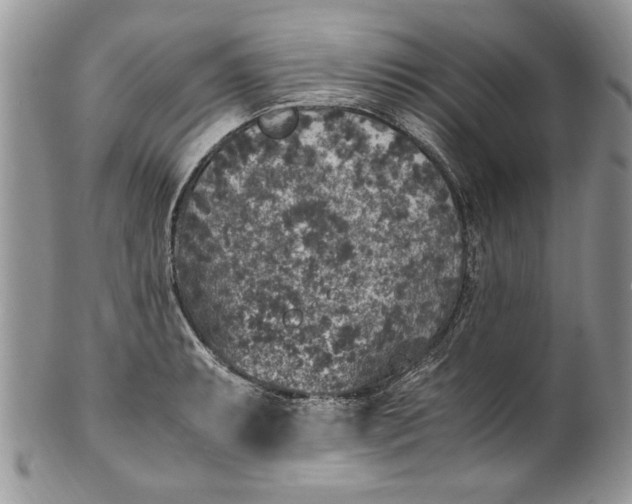 X0000100421087200806201817