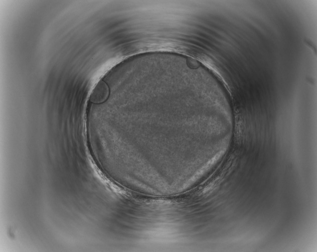 X0000100421088200806201817
