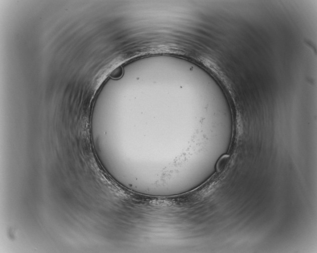 X0000100421089200806201817