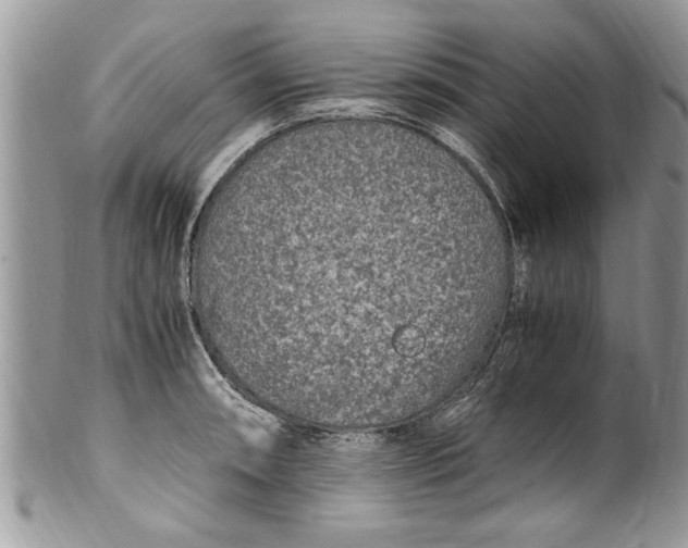 X0000100421090200806201817