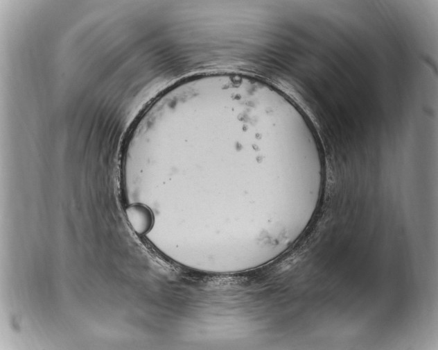 X0000100421093200806201817