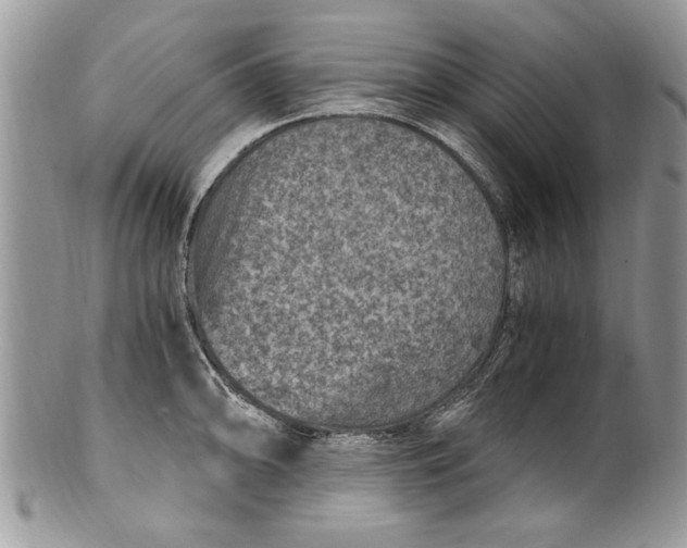 X0000100421094200806201817