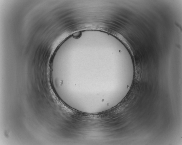 X0000100421096200806201817