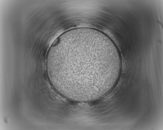 X0000100421097200806201817