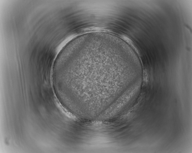 X0000100421098200806201817