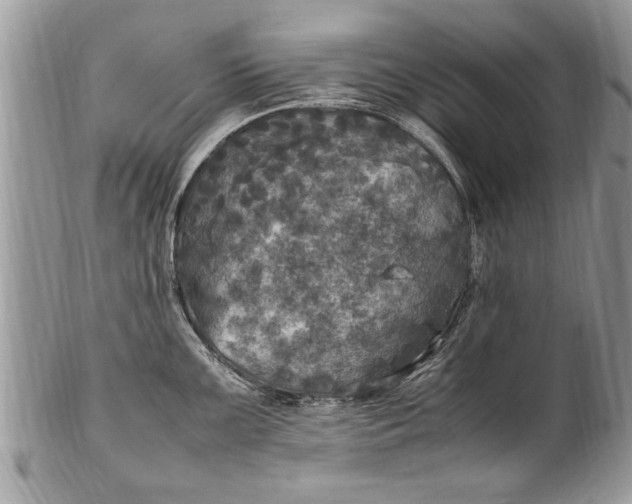 X0000100421099200806201817