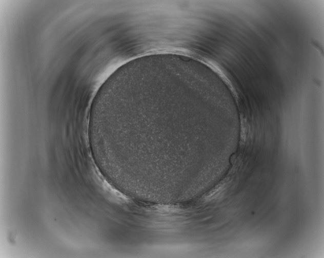 X0000100421102200806201817