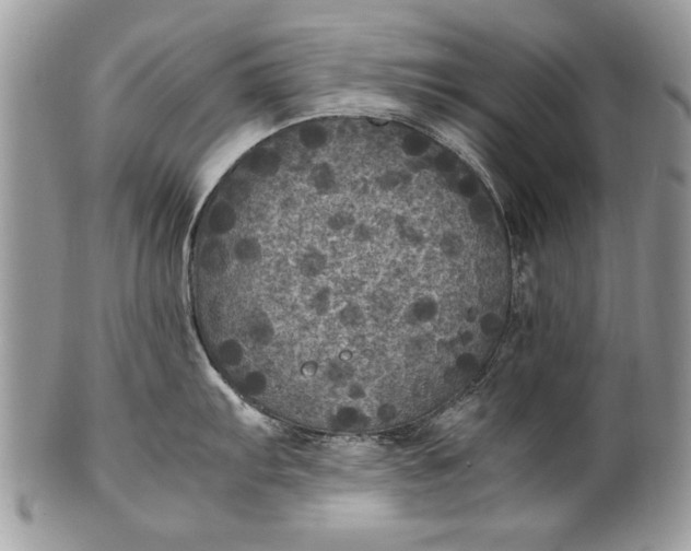 X0000100421103200806201817