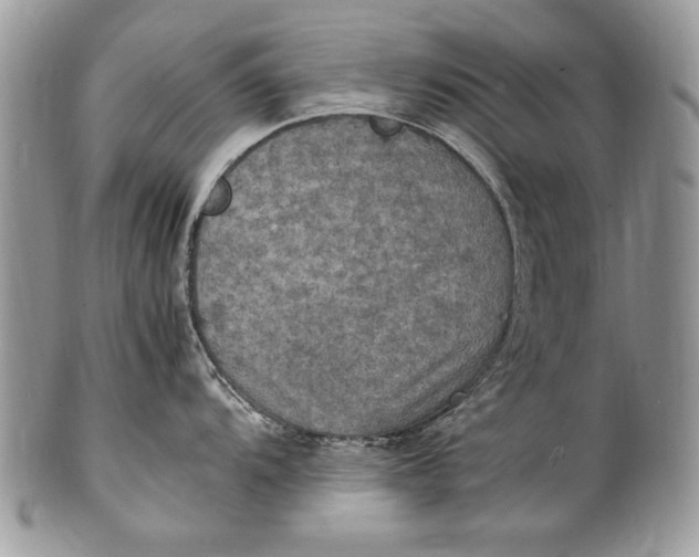 X0000100421104200806201817