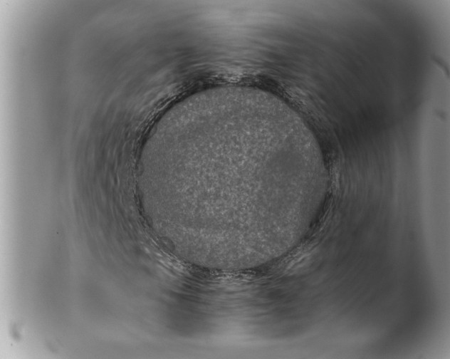 X0000100421105200806201816