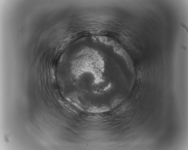 X0000100421106200806201816