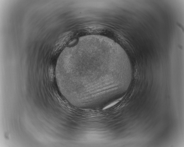 X0000100421108200806201816