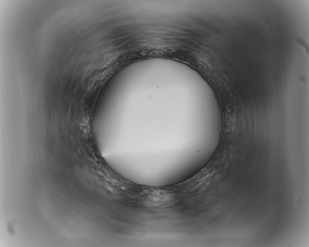 X0000100421109200806201816