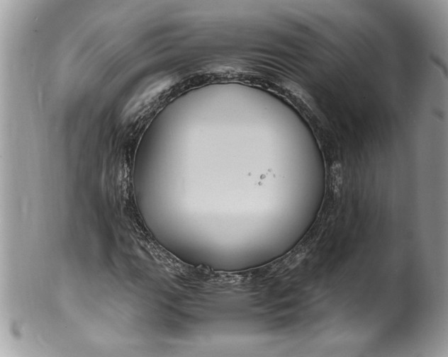 X0000100421111200806201816