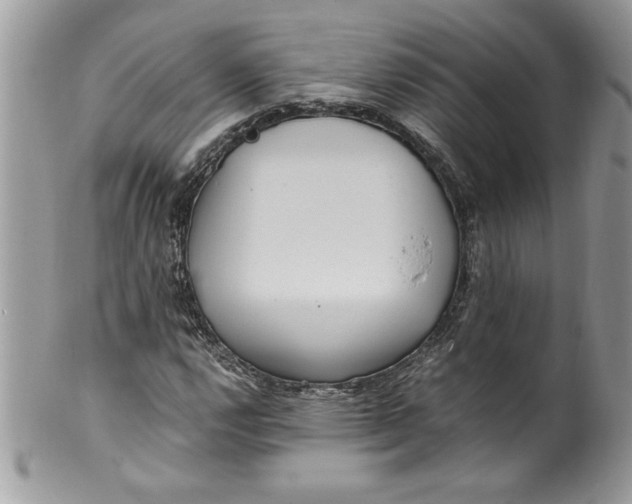 X0000100421112200806201816