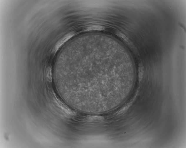 X0000100421113200806201816