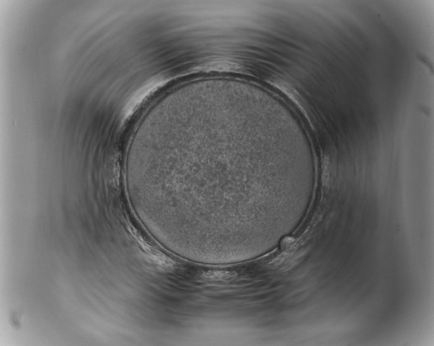 X0000100421115200806201816