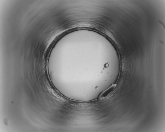 X0000100421116200806201816